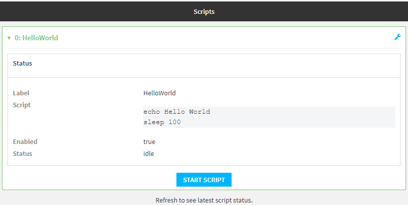 Start a manual script