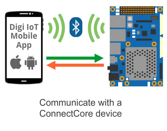 Network Interface Configuration