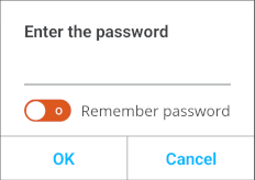 Mobile Password Detail